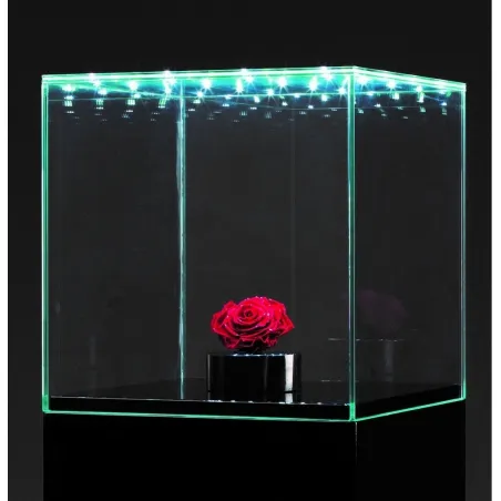 Glashaube mit integrierter LED-Beleuchtung