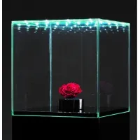 Glashaube mit integrierter LED-Beleuchtung