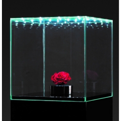 Glashaube mit integrierter LED-Beleuchtung