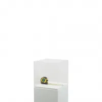 Acrylglashaube