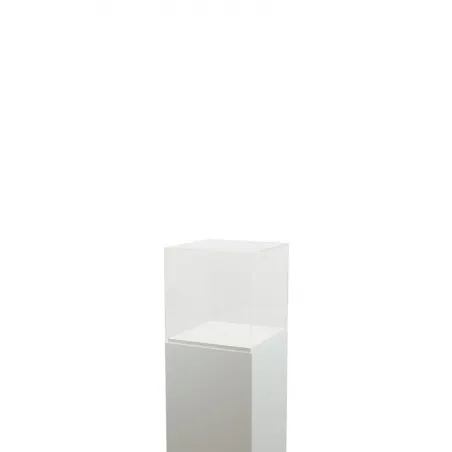 Acrylglashaube