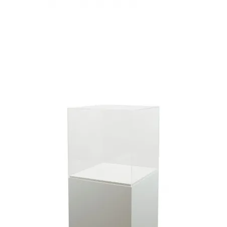 Acrylglashaube