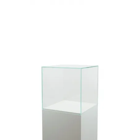 Glasvitrinen