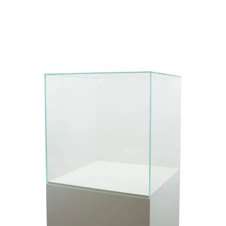Glashaube