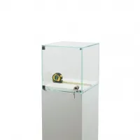 Glasvitrine mit Tür