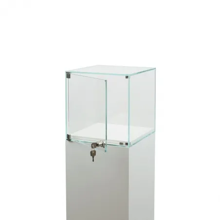 Glasvitrine mit Tür