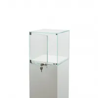 Glasvitrine mit Tür