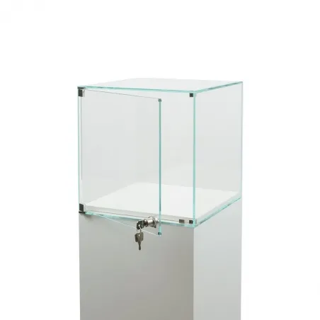 Glasvitrine mit Tür