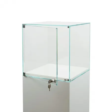Glasvitrine mit Tür