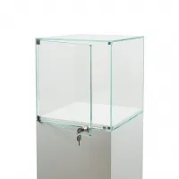 Glasvitrine mit Tür