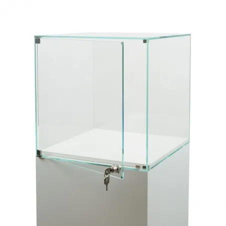 Glasvitrine mit Tür