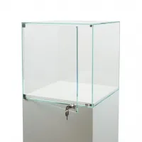 Glasvitrine mit Tür