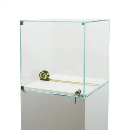 Glasvitrine mit Tür