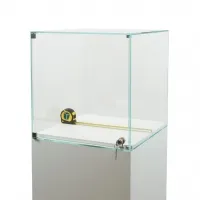 Glasvitrine mit Tür