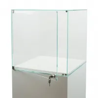 Glasvitrine mit Tür
