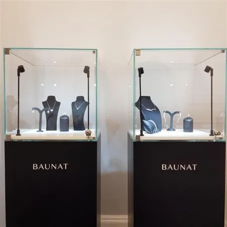 Glasvitrine mit Tür