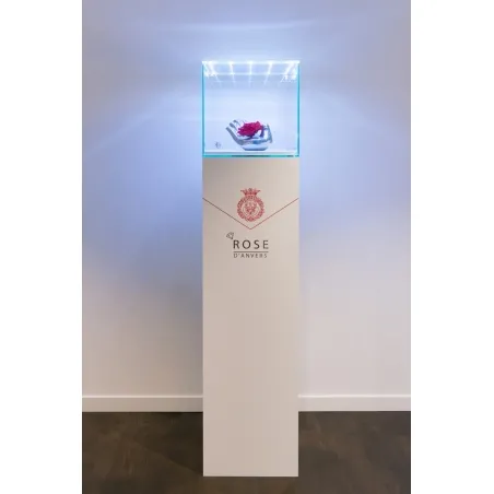 Glashaube mit integrierter LED-Beleuchtung