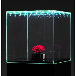 Glashaube mit integrierter LED-Beleuchtung