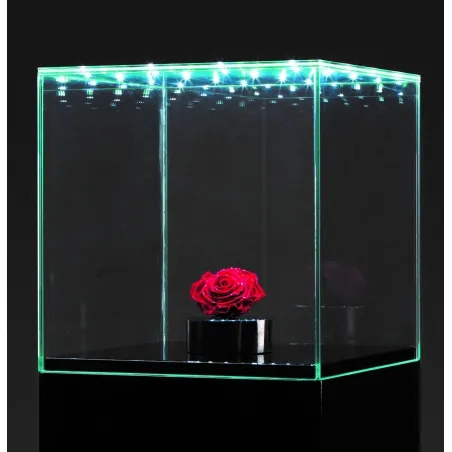 Glashaube mit integrierter LED-Beleuchtung