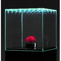 Glashaube mit integrierter LED-Beleuchtung