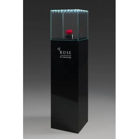 Glashaube mit integrierter LED-Beleuchtung