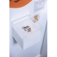 Wanddisplay Paris