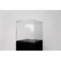Acrylglashaube