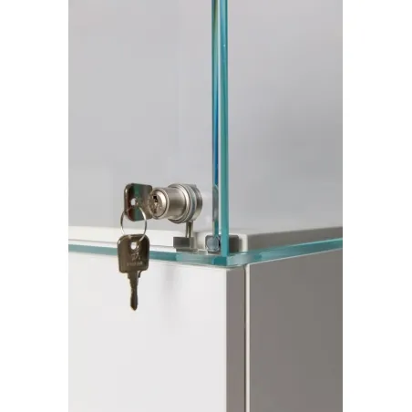 Glasvitrine mit Tür