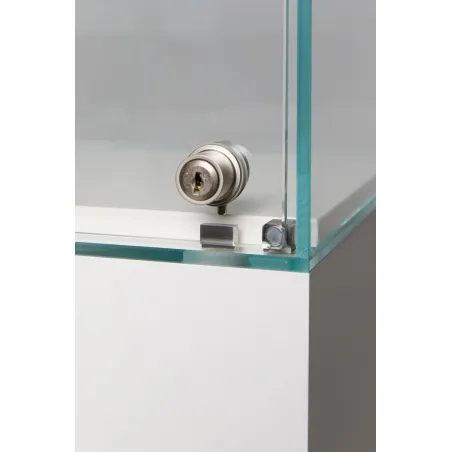 Glasvitrine mit Tür